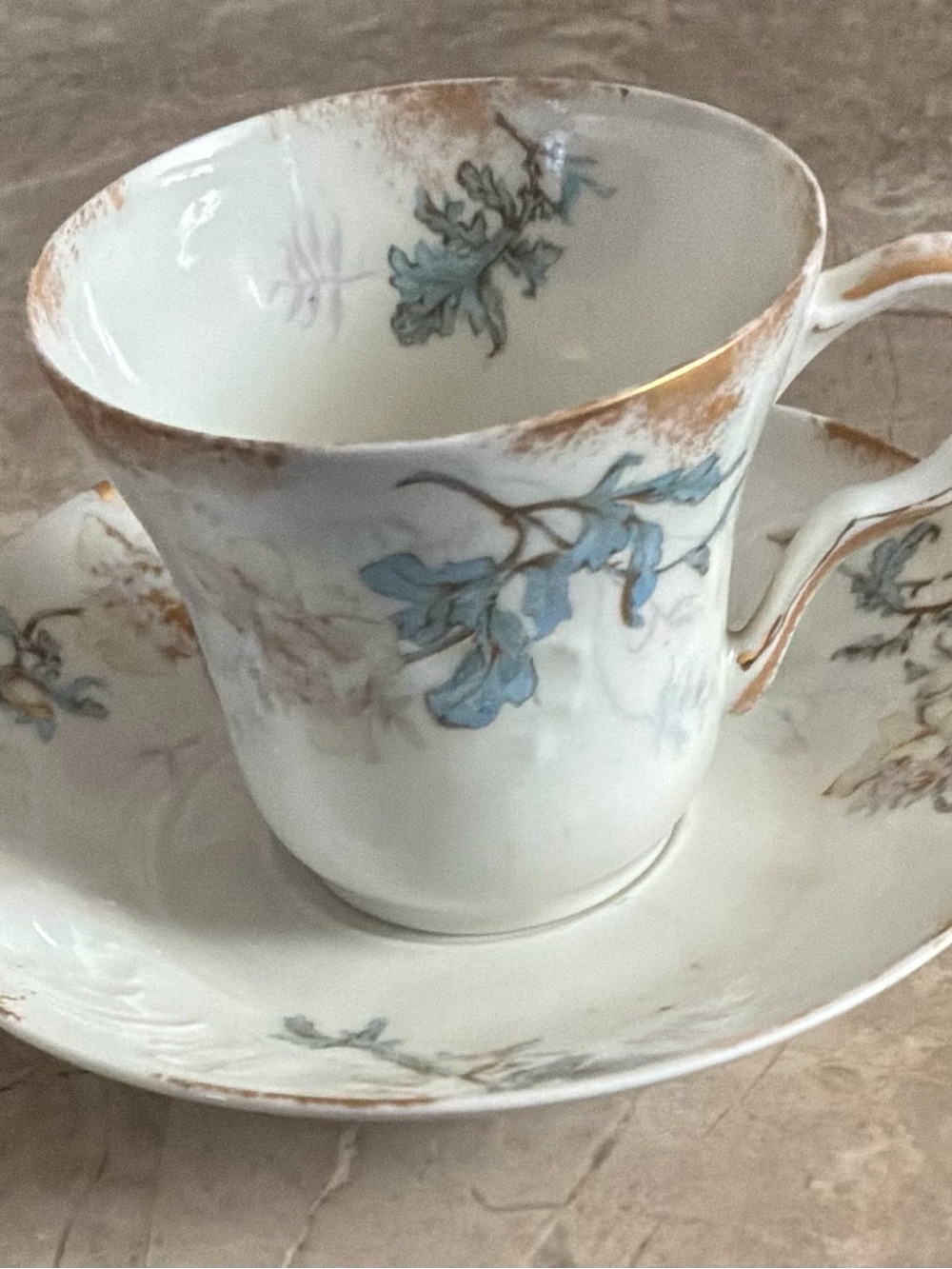Thomas Haviland Limoge Delicate Floral Bone China Teacup & Saucer